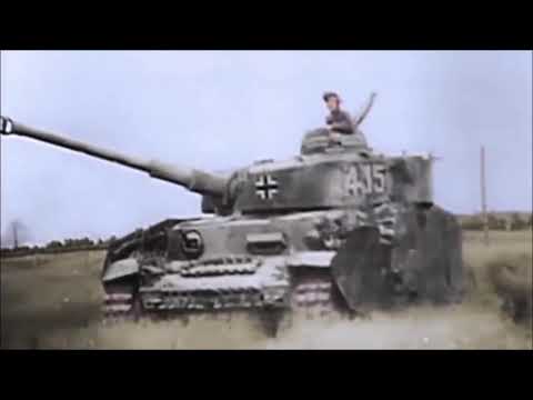 幻灯花 ww2 [MAD]
