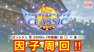 【ウマ娘】チャンピオンズミーティング凱旋門賞 先行因子周回編‼【チャンミクラシック】