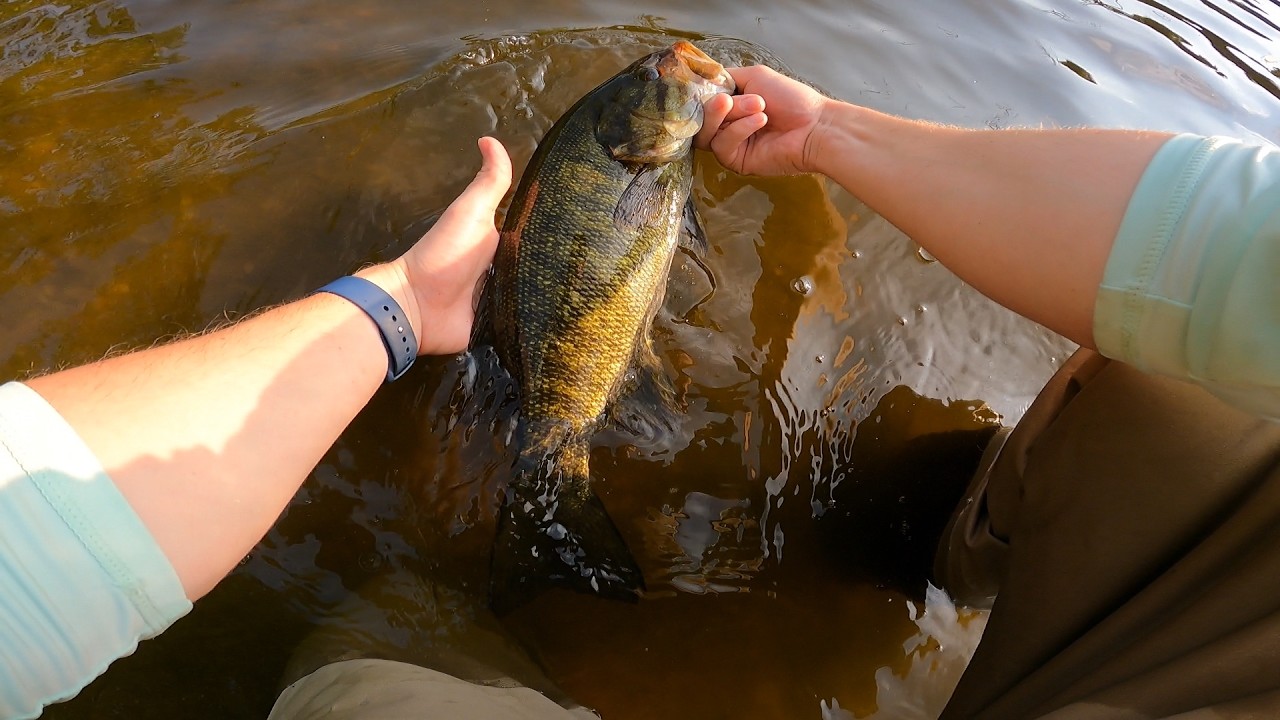 Morning TOPWATER WADING for BIG Bass!