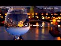 حالات واتس اب مافيني اعرفك لا 