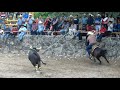 VIRUS DE RANCHO LAGUNA SECA DE DON ÁNGEL DOMÍNGUEZ