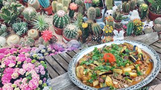 Aubergine Pfanne  / Garten Gestaltung Zubehör Kaufen