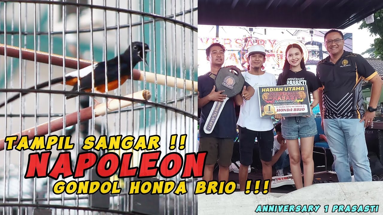 Tampil Sangar !! Napoleon Gondol Honda Brio di Anniversary 1 Prasasti !!!