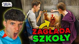 SZKOŁA *atak kurczaków*
