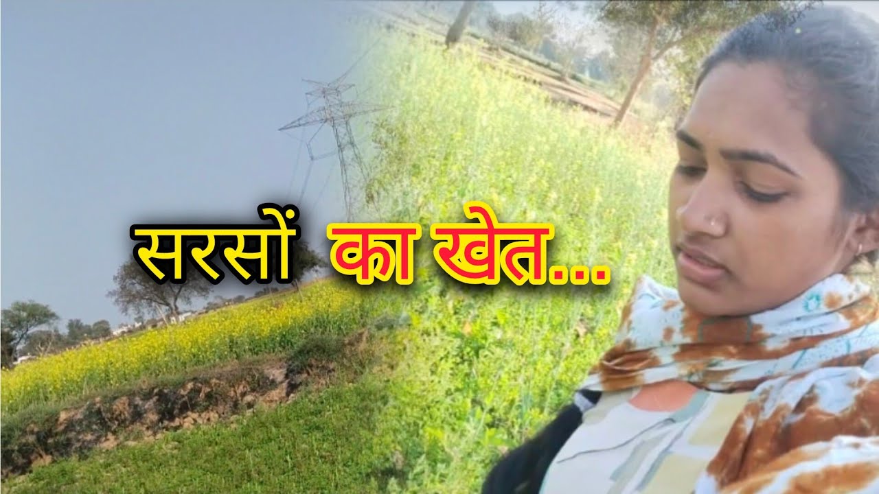 आज भाजी तोड़े जाबो😃||सरसो बारी के नजारा🌼☘️|| #dailyvlog #villagelife 