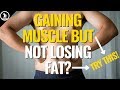 Are You Gaining Muscle But Not Losing Fat? You NEED This Quick Guide...