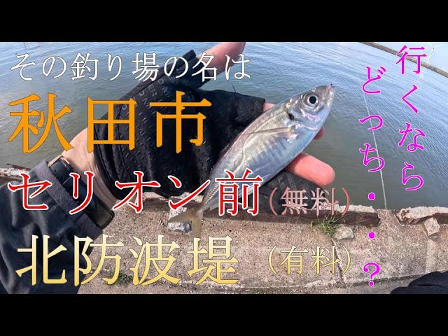 【未使用】新 秋田の海釣り 212【釣り】セリオンタワー、北防波堤 秋田県 秋田市 2025年9月 アジ