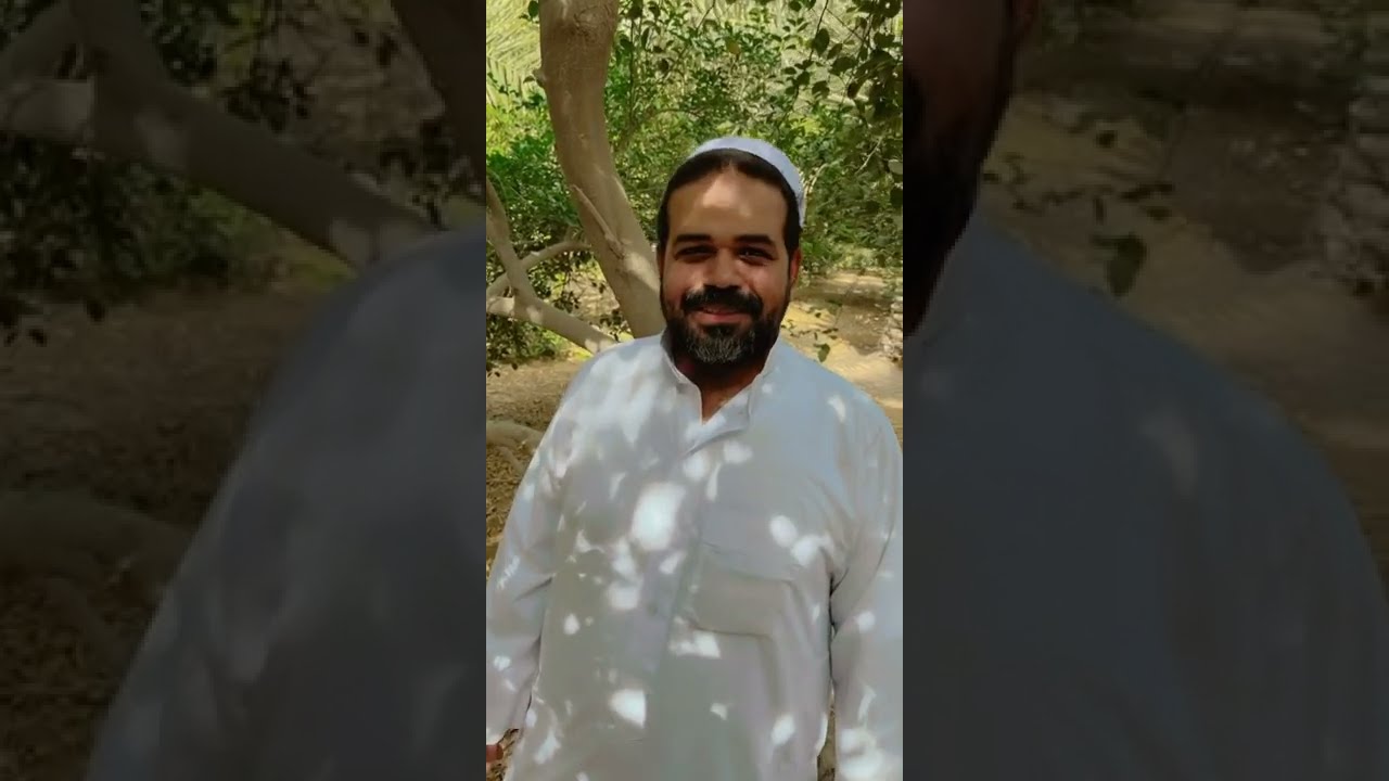 طريقة تقليم الحمضيات في شهر ديسمبر ١٢ انجليزي وتربية الاغصان مع المبدع محمد البلادي