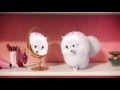 McDonald S Suisse Happy Meal The Secret Life Of Pets 