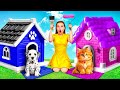 We Bouwen Huis voor Huisdieren | Grappige Huisdier Grappen GoFun Challenge