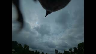 Fast Moving Clouds Overhead | Action 6 4K Timelapse #youtubeshorts #ytshorts #dji #youtube #viral