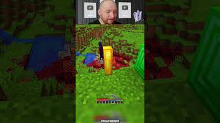 CRAZY MODS IN MINECRAFT  #minecraft  #minecraftmemes #minecraftshorts