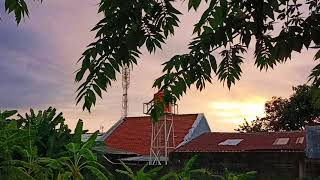 Mishary Rasyid , Hal Laka sirun 'indallah