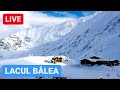 🔴 LIVE de la BÂLEA LAC & TRANSFĂGĂRĂȘAN - Zăpadă și Vreme Superbă