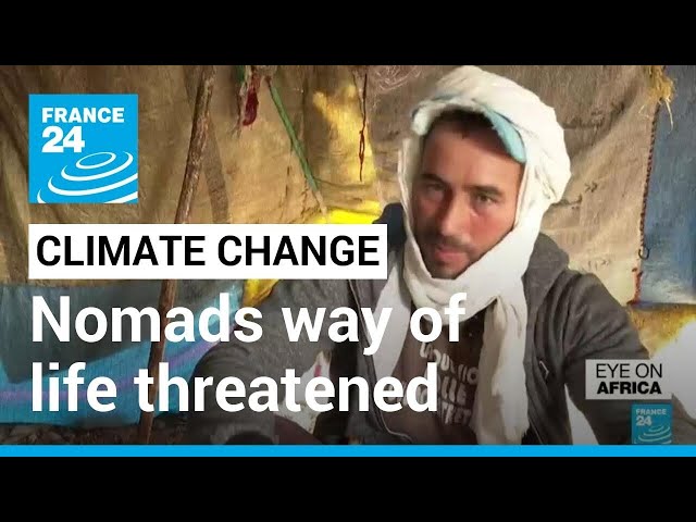 Moroccan nomads' way of life threatened by climate change • FRANCE 24 English