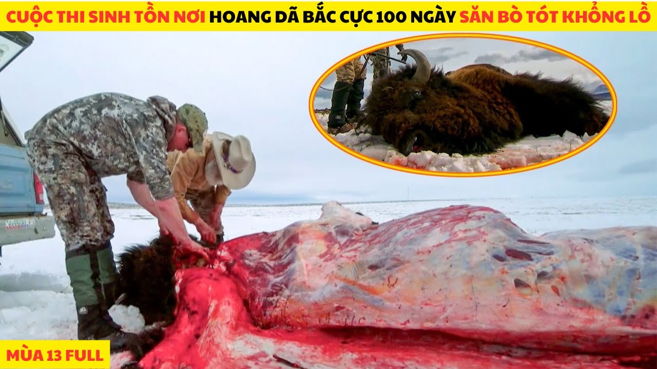 Thử Thách Sinh Tồn 100 Ngày Nơi Hoang Dã Bắc Cực Săn Bò Tót Khổng Lồ Full Mùa 13