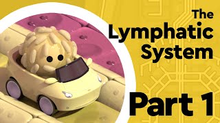 What is the Lymphatic System? (Part 1: Anatomy and Physiology)