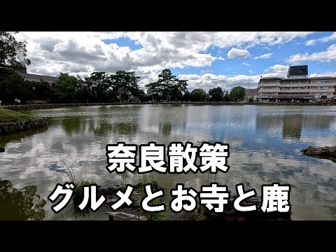 【奈良県】興福寺散策&中谷堂でよもぎ餅を食べる