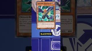 Why You Shouldnt Lie in Yugioh...