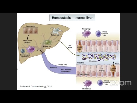 Video: Vzťah ALDH2 Rs671 A CYP2E1 Rs2031920 S Citlivosťou Na Hepatocelulárny Karcinóm Vo Východnej Ázii: Metaanalýza