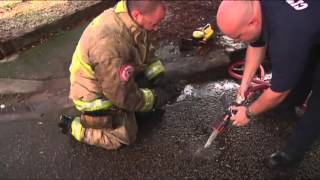 Watch as firefighters work to rescue a small cat stuck inside a filthy storm drain in Miami