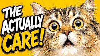 Why Cats Act Cold But Actually Care More Than Dogs