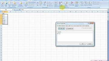 How to remove duplicates from the list? | Excel 2007