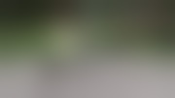 Ultimate Close Call Compilation    FailArmy