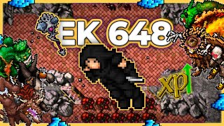 EK 648 Hunt Solo Roshamuul Prison 3.3kk/h Raw + 750k Profit - Tibia Hunt [13.17] #tibia #tibiahunt