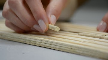 TREE Video 7: Part 1 MAD Lab