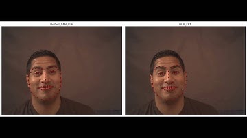 dlib vs unified 300VW  Sequence 115 output