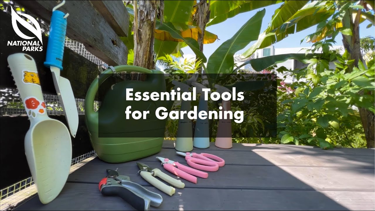 Essential Tools For Gardening YouTube