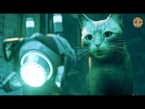 Stray is a game whose hero is a cat in the world of robots, exclusively on  PlayStation 💙 : r/gaming