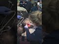 Silverback gorilla gets wellness check at Disney's Animal Kingdom