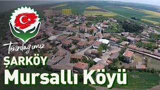 Mursallı Köyü Tekirdağ Şarköy