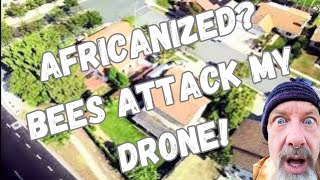 Aggressive Swarm of Possibly Africanized Bees Attack Drone In California Neighborhood Raw Footage by Creepy Crawl with Sobaire 114 views 10 months ago 45 seconds