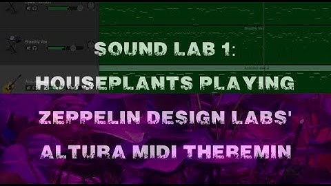 Sound Lab 1 | Altura Theremin Played by Houseplants