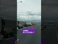 @【割り込み車】 こんな時は…ほぼいる #shorts