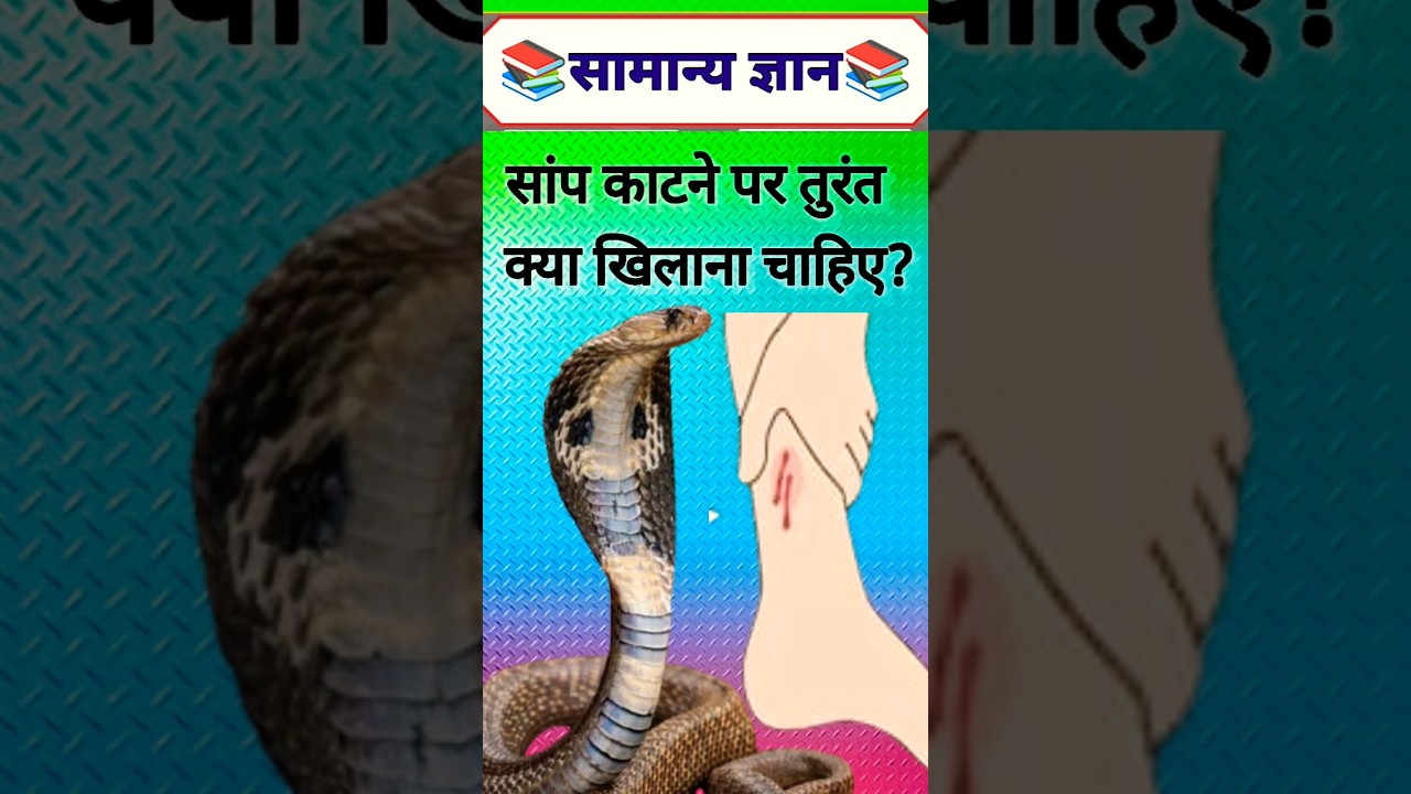 सांप काटने पर तुरंत क्या खिलाना चाहिए? 