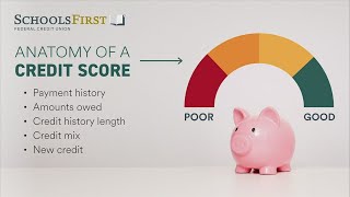 How to build credit with SchoolsFirst Federal Credit Union | SPONSORED