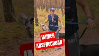 🚨 DAS WEIẞ KEINER- ABER DEIN HUND LIEBT ES