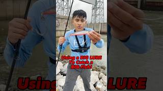 Using a HUGE Lure to Catch BIG FISH! #fishing #bigfish #baits