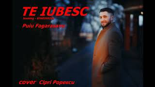 Puiu Fagarasanu - Te iubesc - cover