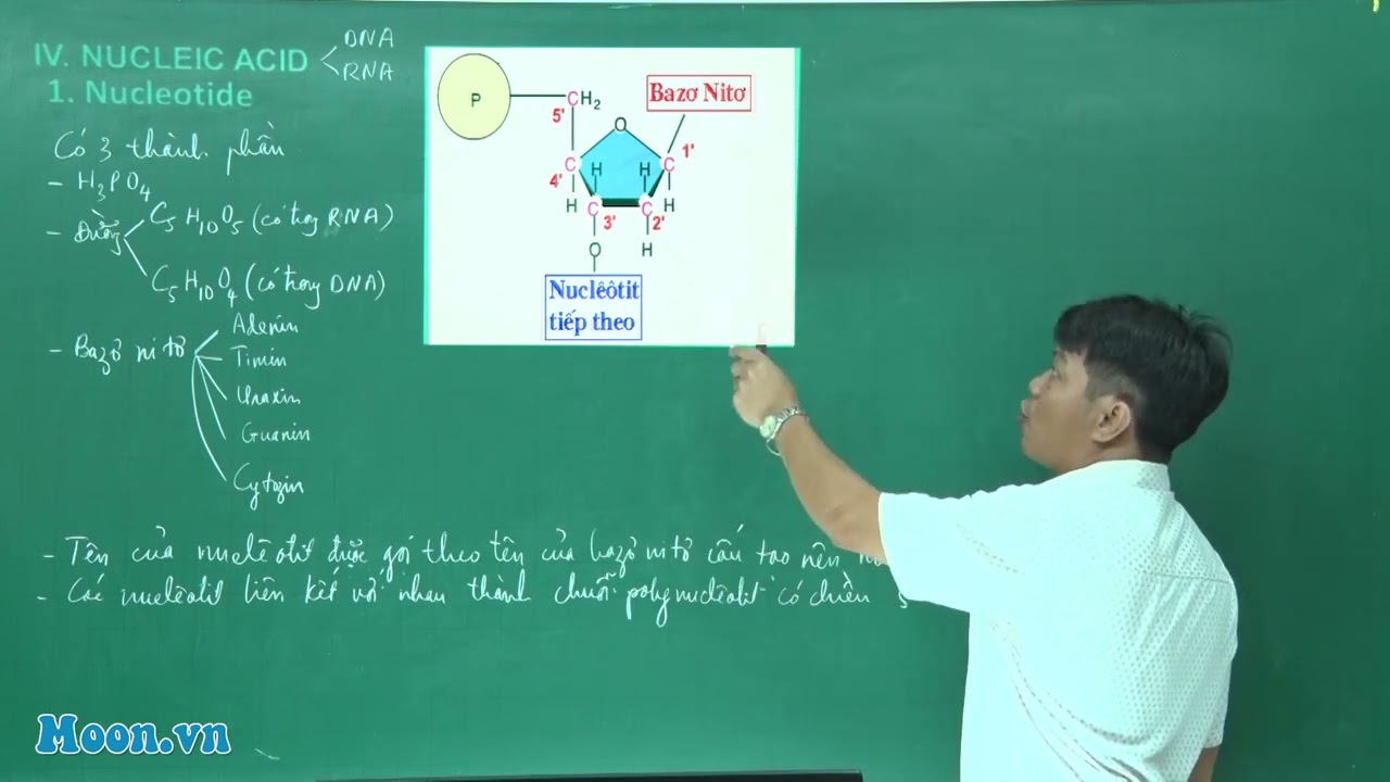 Bài 5 (P2). Chương trình lớp 10 mới