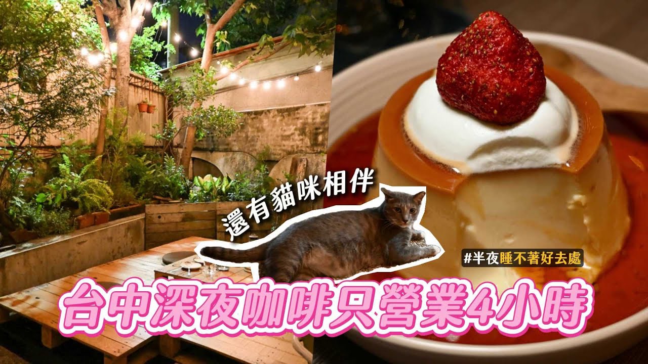 半夜睡不著來這！台中深夜咖啡有貓咪相伴 每天只營業4小時｜ETtoday旅遊雲 - YouTube
