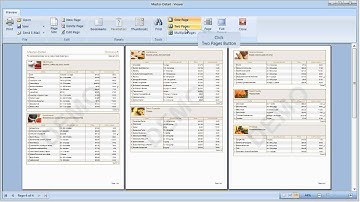 Changing Zoom in Preview - Stimulsoft Reports - [Shot on version 2012.1]