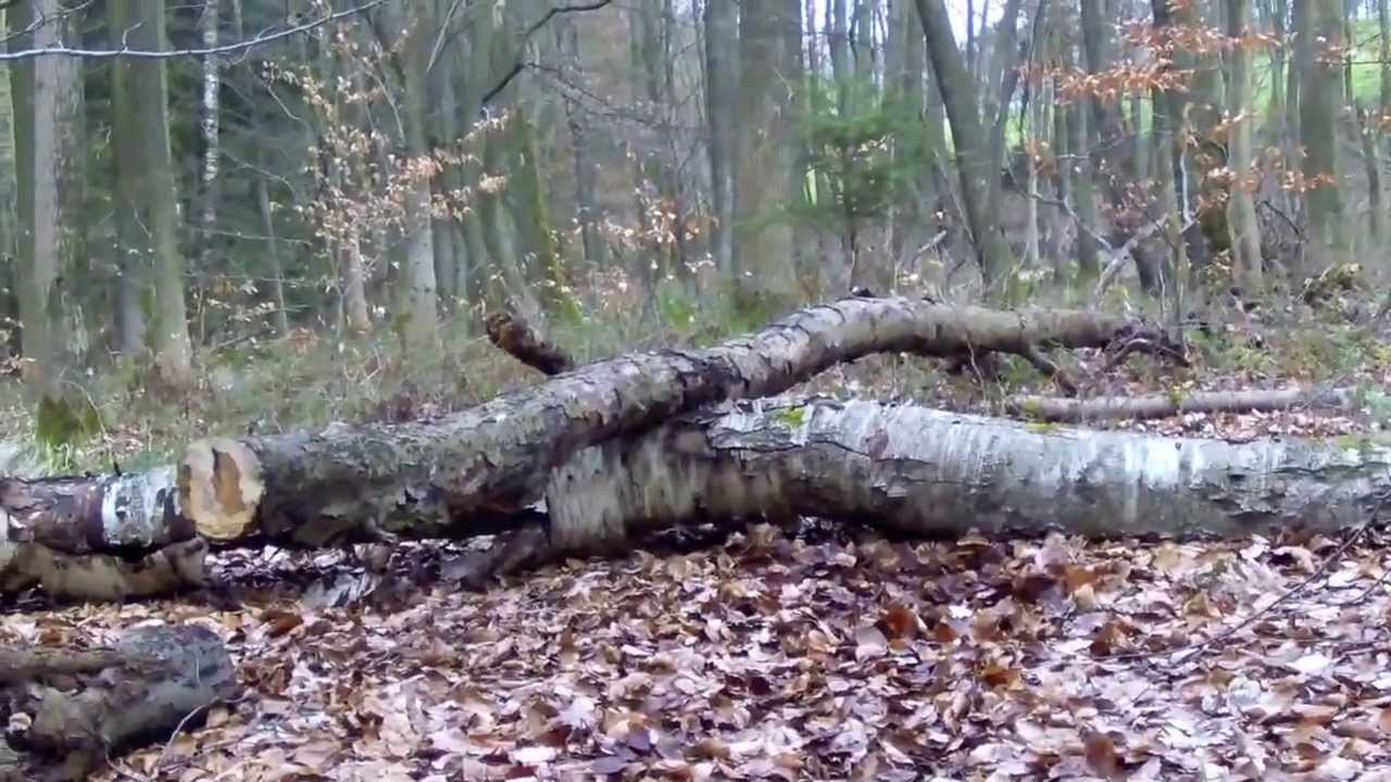 Auf Tour mit BW-Packtasche