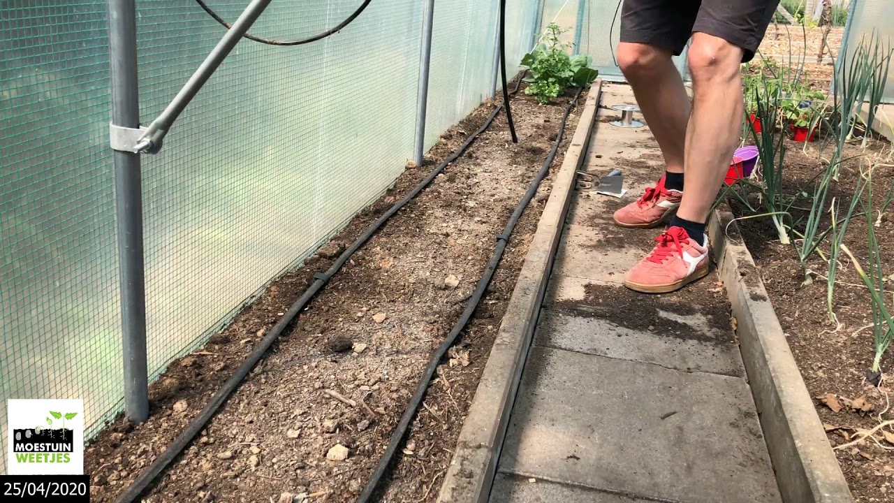 TM20#6 : De vreemde tijden en radijsjes zaaien