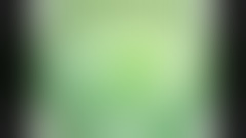 Get the Big Picture of GDI Team Elite