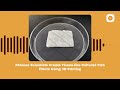 How Chinese Scientists 3D-Print Sashimi? | Podcast | Science Express